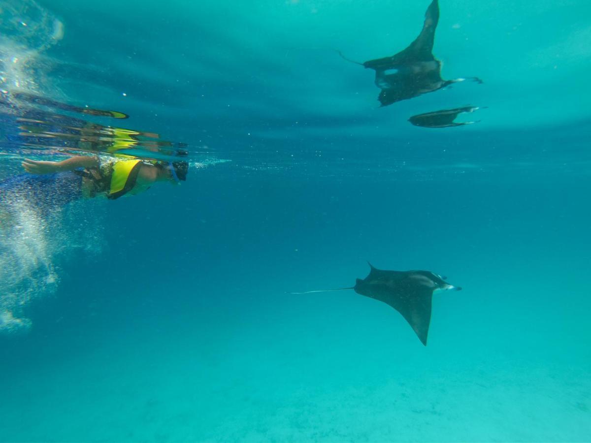 Coral Queen Villa, Ukulhas المظهر الخارجي الصورة